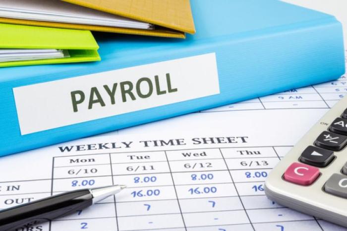 Payroll services business small