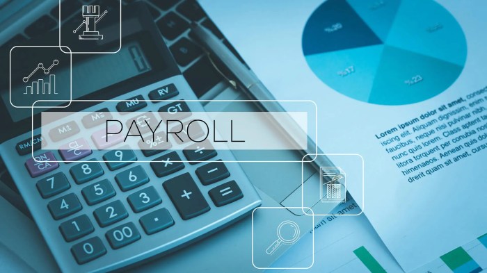 Payroll businesses startups particularly regulations